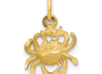 14k Satin Diamond-cut Cancer Zodiac Charm (Style C479)