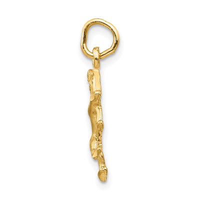 14K Satin Diamond-cut Leo Zodiac Charm, 22 x 8mm