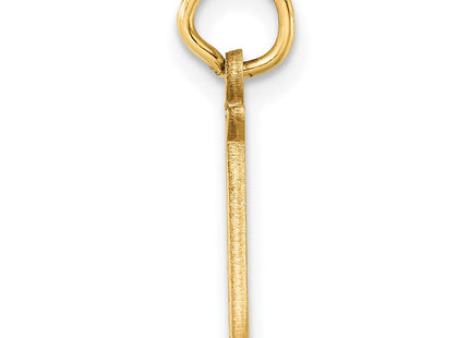 14K gold zodiac charm, alternate view
