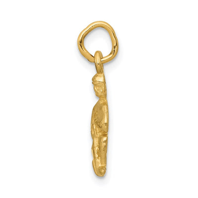 14K Satin Diamond-cut Aquarius Zodiac Charm, 20 x 8mm
