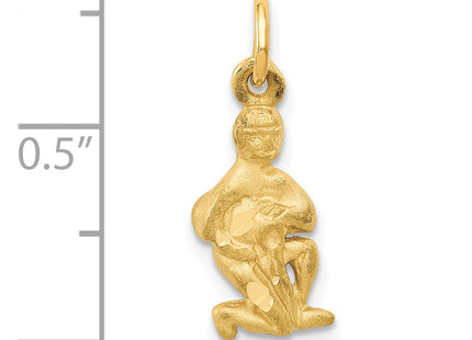 14k Satin Diamond-cut Aquarius Zodiac Charm, 20 x 8mm