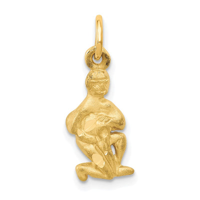 14K gold zodiac charm