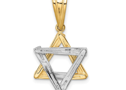 14k Two-tone Star of David Pendant (Style CG52)