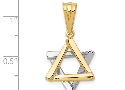 14k Two-tone Star of David Pendant (Style CG52)