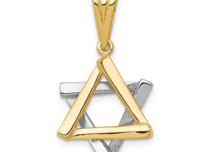 14k Two-tone Star of David Pendant (Style CG52)