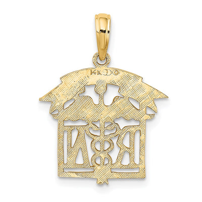 14K Registered Nurse Charm