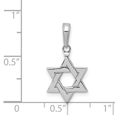 14K White Gold Polished Star of David Pendant