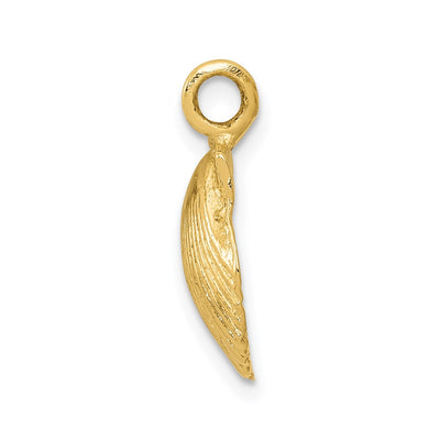 14K Seashell Pendant, 17 x 12mm