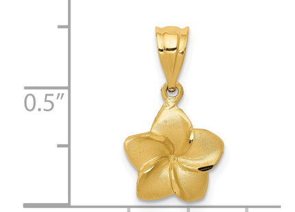 14K gold pendant, another view