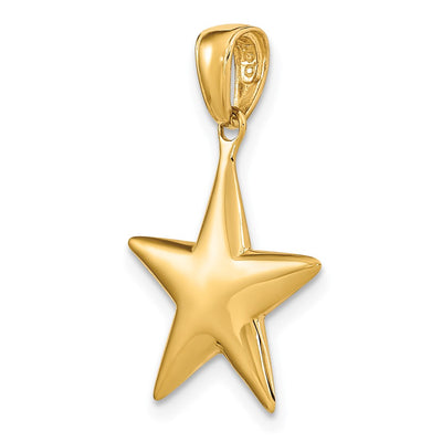 14K Polished 3-D Star Pendant