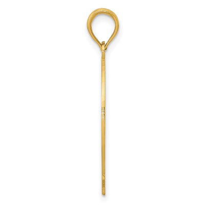 14K Ichthus Fish Pendant, 29 x 9mm