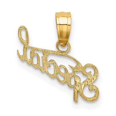 14K Polished and Textured Special Charm, 15.40 x 16.5mm