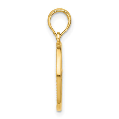 14K Polished Round Gemini Pendant