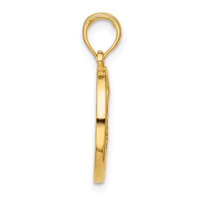 14K Polished Round Scorpio Pendant