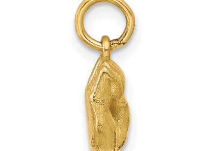 14k Yellow Gold Pendants Style D5808E - Classique Jewelry Inc.