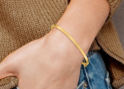 14k Polished Hinged Oval Bangle Bracelet (Style DB615)