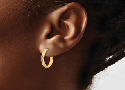 14K Diamond Fascination Polished Hoop Earrings