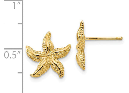 14k Starfish Earrings (Style E908)