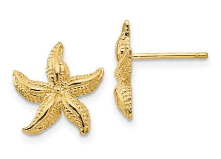 14k Starfish Earrings (Style E908)