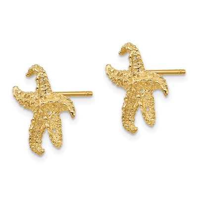 14K Starfish Earrings, 14 x 11mm