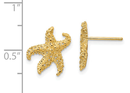 14k Starfish Earrings, 14 x 11mm