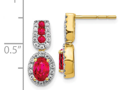14k Yellow Gold Earrings Style EM5597 - Classique Jewelry Inc.