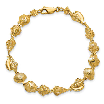 14K Polished Assorted Sea Shells