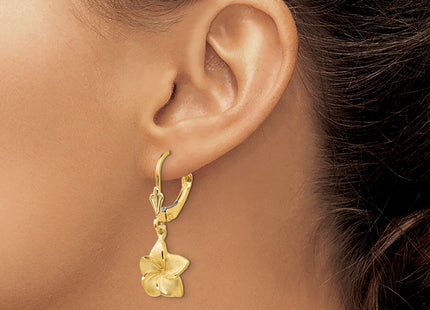 14k Yellow Gold Earrings Style FB561E - Classique Jewelry Inc.