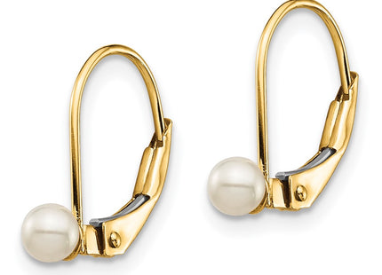 14k Yellow Gold Earrings Style GK250 - Classique Jewelry Inc.