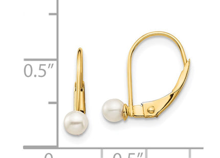 14k Yellow Gold Earrings Style GK250 - Classique Jewelry Inc.