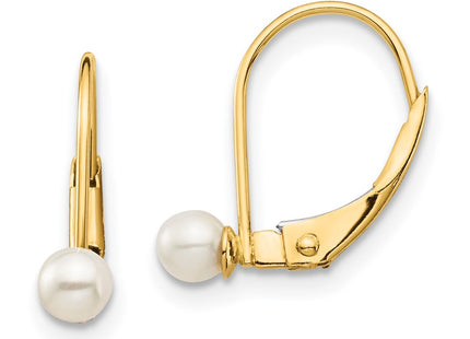 14k Yellow Gold Earrings Style GK250 - Classique Jewelry Inc.