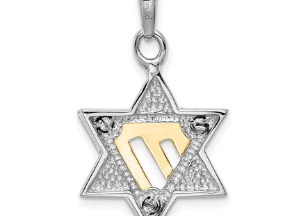 14k Two-tone Star of David Pendant (Style K1272)