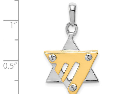 14k Two-tone Star of David Pendant (Style K1272)