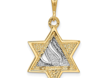 14k Two-tone Star of David Pendant (Style K1275)