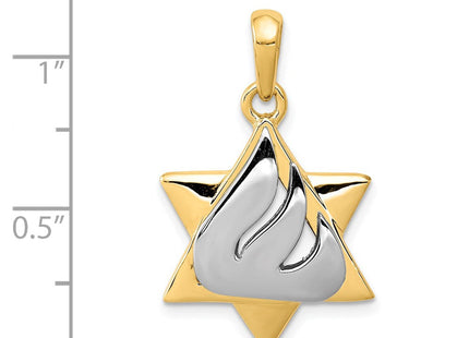 14k Two-tone Star of David Pendant (Style K1275)