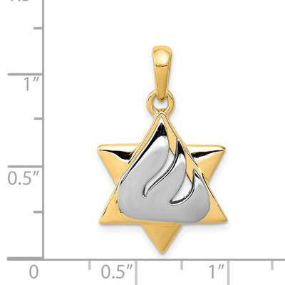 14K Two-tone Star of David Pendant, 30 x 18mm