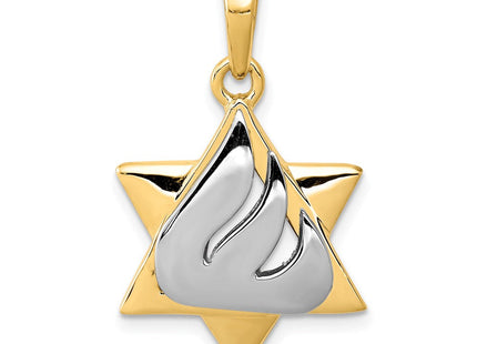 14k Two-tone Star of David Pendant (Style K1275)