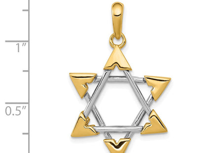 14k Two-tone Star of David Pendant (Style K1289)