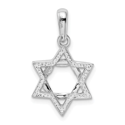 14K White Gold Star Of David Pendant, 25 x 14mm