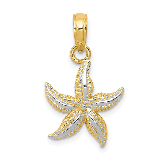 14K with White Rhodium Starfish Pendant, 19 x 12mm