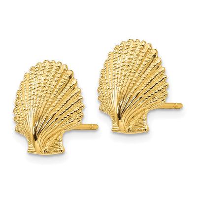 14K Scallop Shell Post Earrings, 13 x 13mm