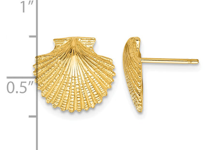 14k Scallop Shell Post Earrings, 13 x 13mm