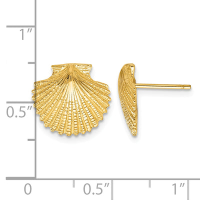 14K Scallop Shell Post Earrings, 13 x 13mm