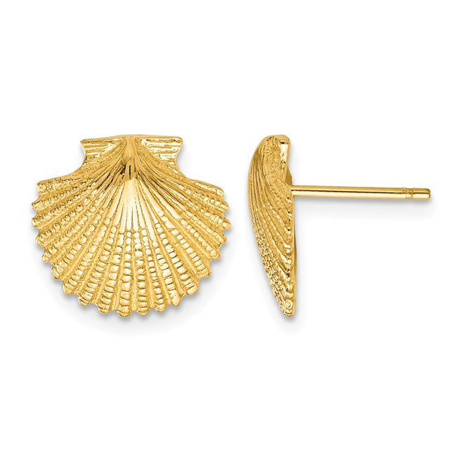 14k Scallop Shell Post Earrings, 13 x 13mm