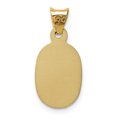 14K w/Rhodium D/C Lady Of Guadalupe Oval Pendant, 21 x 10mm