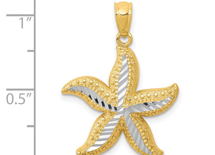 14K gold starfish pendant, further view