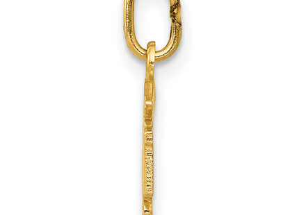 14k Diamond-cut Polished RN Nurse Pendant