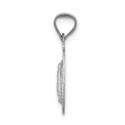 14K White Gold Our Lady of Guadalupe Semi-solid Oval Pendant, 17 x 9.5mm