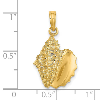 14K Conch Shell Charm, 25 x 14.2mm