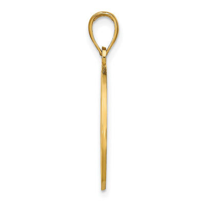 14K NAPLES Dolphins Pendant